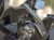 pol_pm_Podstawa-mocowana-na-zbiorniczku-hamulcowym-Quad-Lock-R-V2-23041_2.webp