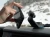 pol_pl_Podstawa-z-przyssawka-do-szyby-deski-rozdzielczej-Quad-Lock-R-23043_1.webp